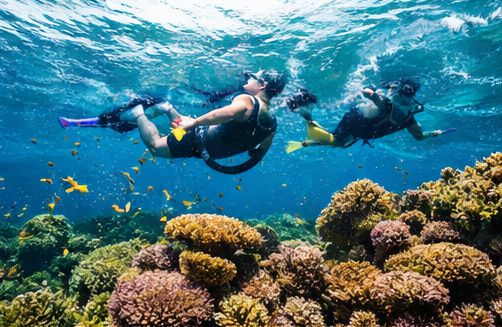 Tempat Wisata Laut Terbaik untuk Snorkeling